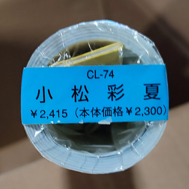 小松彩夏 2007年 カレンダー B2サイズ 8枚綴り。新品未開封。美品。ハゴロモ TRY-X