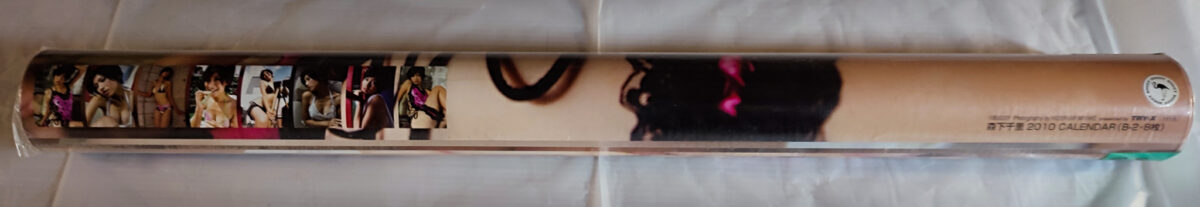 森下千里 2010年 カレンダー B2サイズ 8枚綴り。新品未開封。美品。ハゴロモ TRY-X