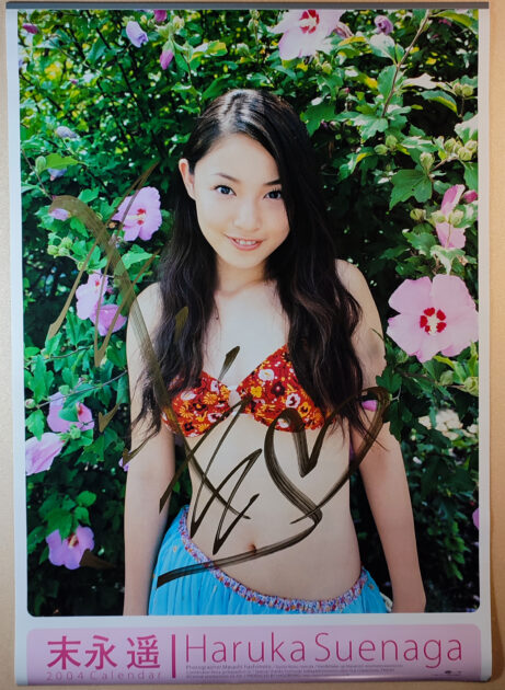 直筆サイン入り!末永遥 2004年 カレンダー B2サイズ 7枚綴り。未使用美品。ハゴロモ TRY-X