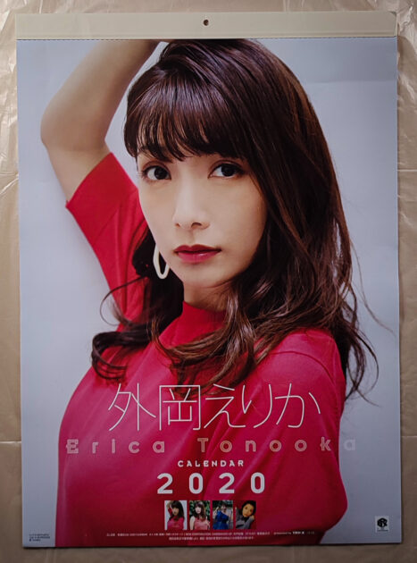外岡えりか 2020年 カレンダー B3サイズ 9枚綴り。ハゴロモ TRY-X