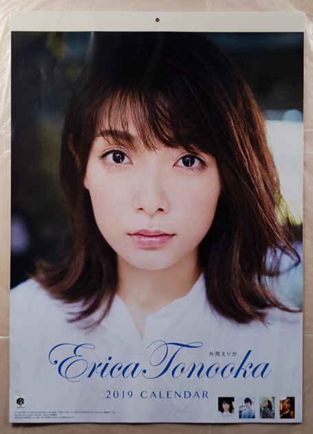外岡えりか 2019年 カレンダー B3サイズ 9枚綴り。ハゴロモ TRY-X