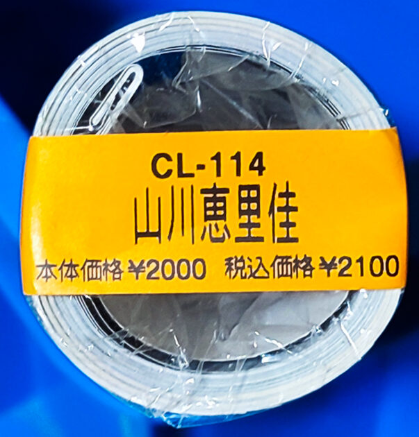 山川恵里佳 2000年 カレンダー B2サイズ ７枚綴り。新品未開封。ハゴロモ TRY-X