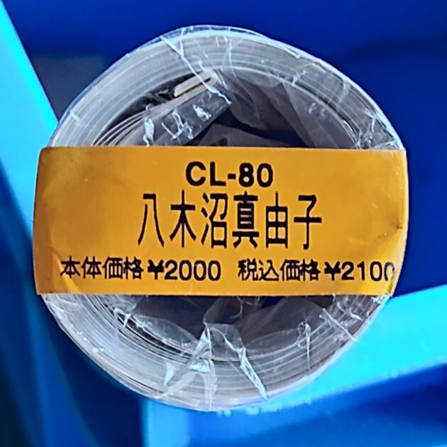 八木沼真由子 2000年 カレンダー B2サイズ ７枚綴り。新品未開封。ハゴロモ TRY-X