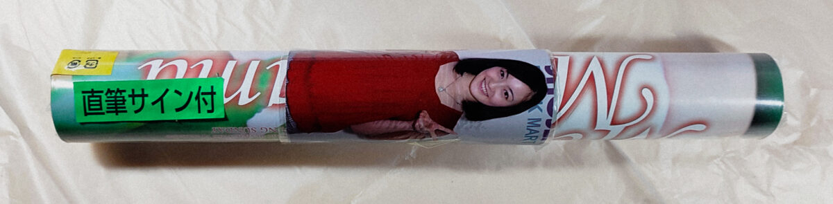 直筆サイン入り 松山メアリ 2009年 カレンダー B3サイズ 8枚綴り。新品未開封。ハゴロモ TRY-X