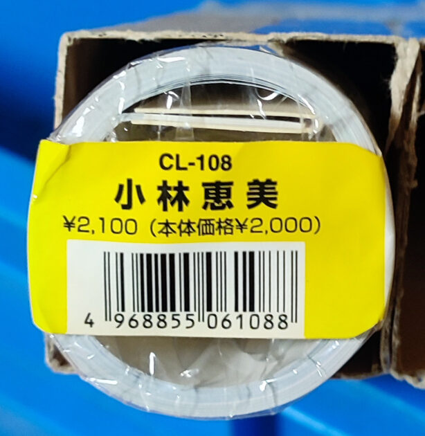 新品未開封。小林恵美 2006年 カレンダー B2サイズ 7枚綴り。未使用美品。ハゴロモ TRY-X